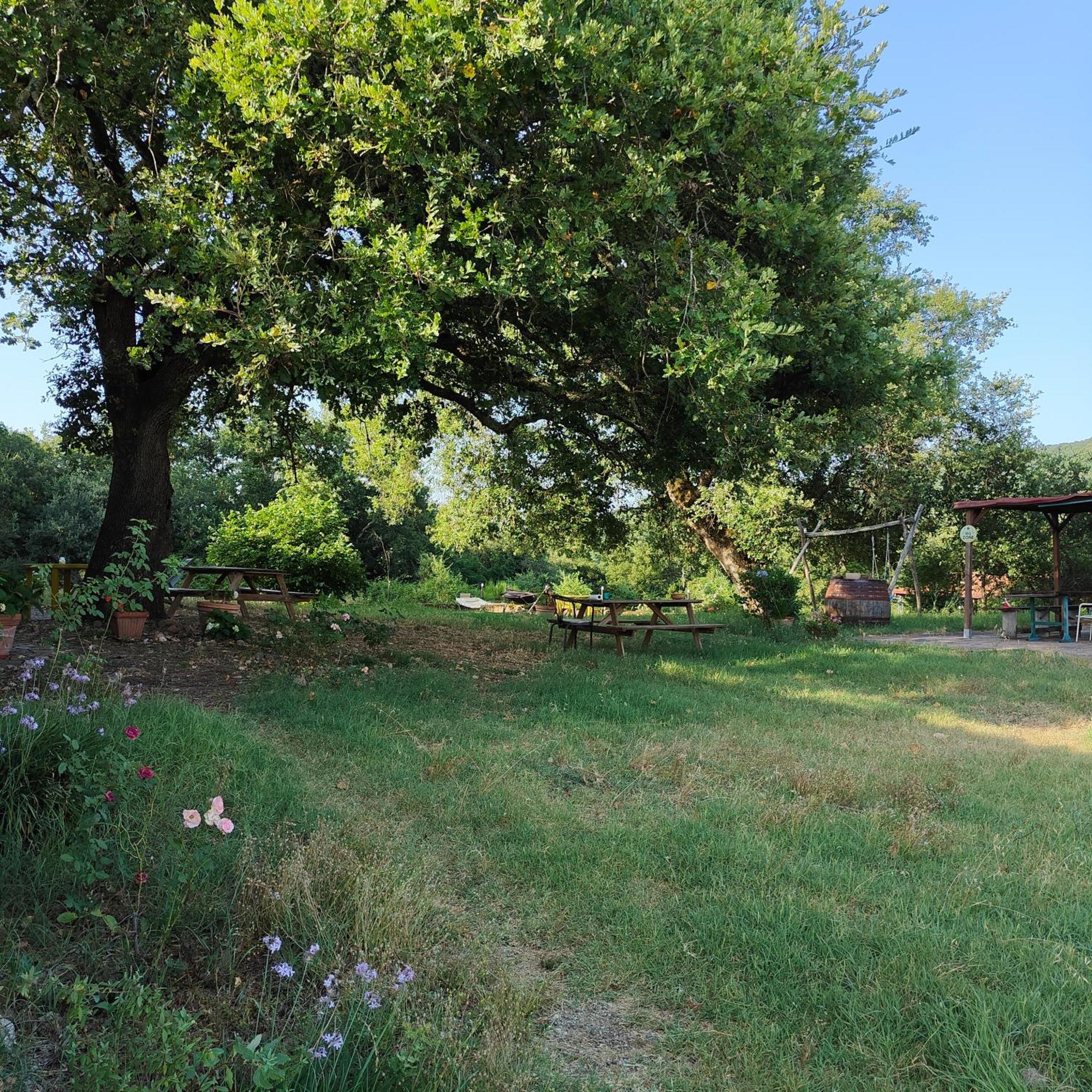 Agriturismo Il Casalino Pari Exterior photo