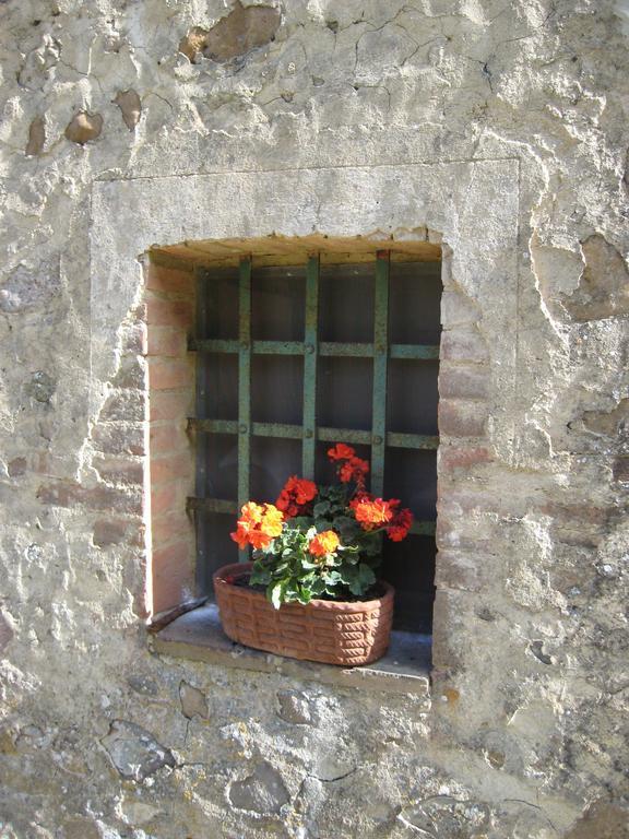 Agriturismo Il Casalino Pari Exterior photo