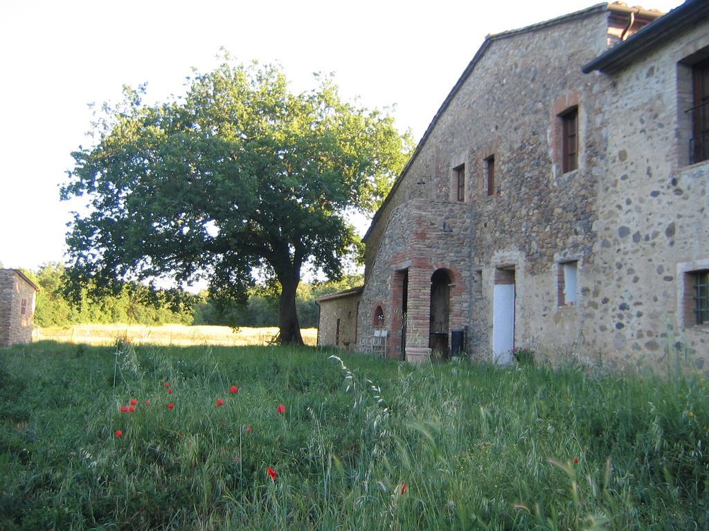 Agriturismo Il Casalino Pari Exterior photo