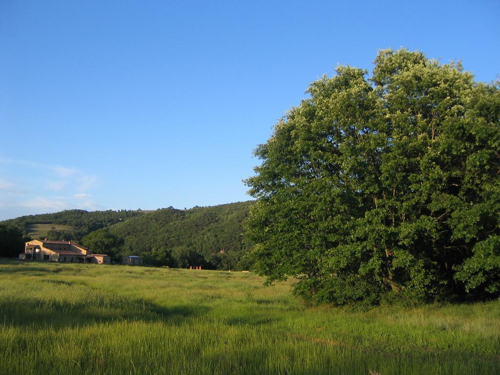 Agriturismo Il Casalino Pari Exterior photo