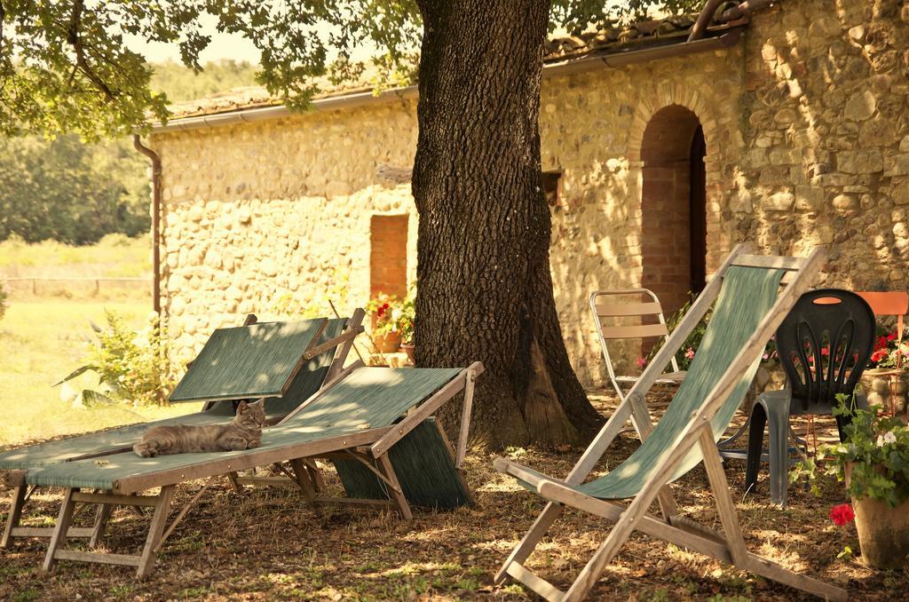 Agriturismo Il Casalino Pari Exterior photo